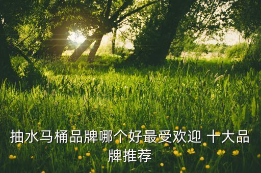 抽水馬桶品牌哪個好最受歡迎 十大品牌推薦