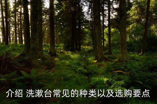 集裝箱衛(wèi)浴洗漱間圖片大全