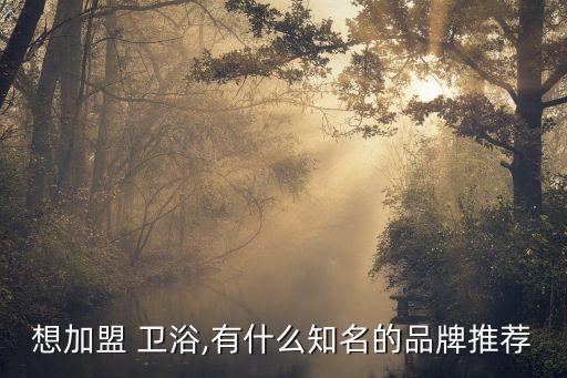 想加盟 衛(wèi)浴,有什么知名的品牌推薦