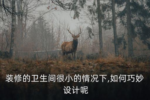 裝修的衛(wèi)生間很小的情況下,如何巧妙 設(shè)計(jì)呢