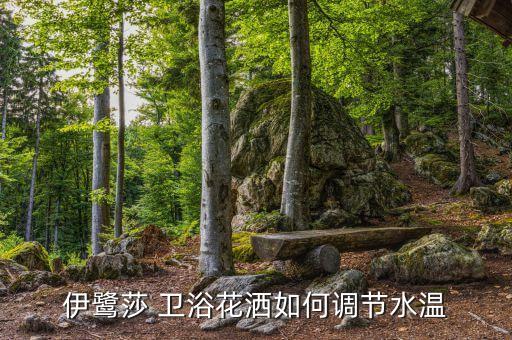 伊上衛(wèi)浴有沒(méi)有官方電話,有沒(méi)有日本伊上衛(wèi)浴