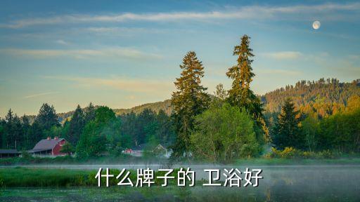 什么牌子的 衛(wèi)浴好