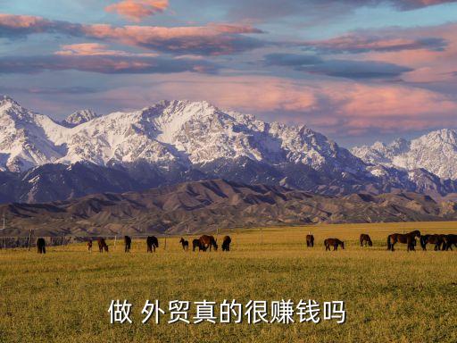 做 外貿(mào)真的很賺錢嗎