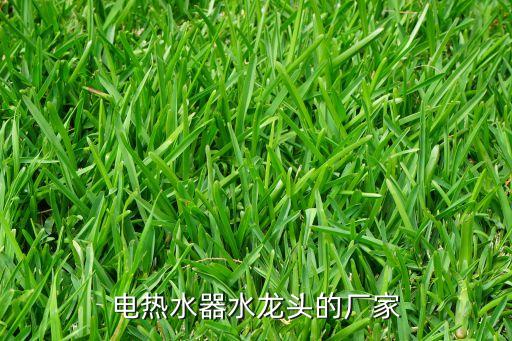 電熱水器水龍頭的廠家