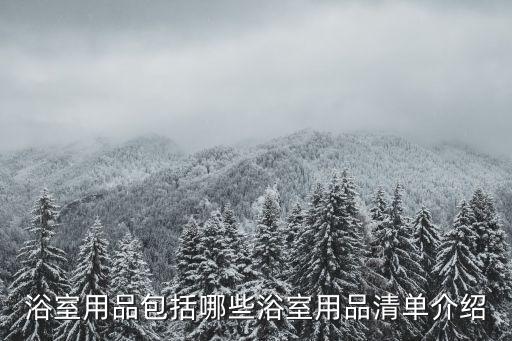 浴室用品包括哪些浴室用品清單介紹