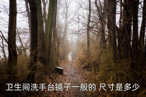 衛(wèi)生間洗手臺(tái)鏡子一般的 尺寸是多少