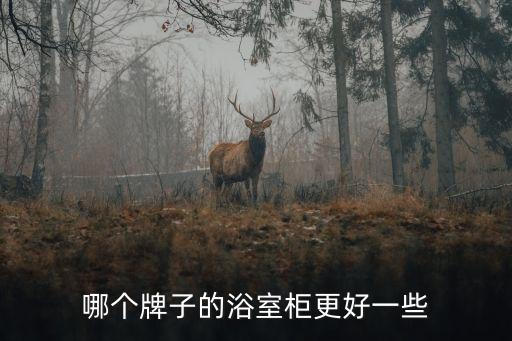 哪個(gè)牌子的浴室柜更好一些