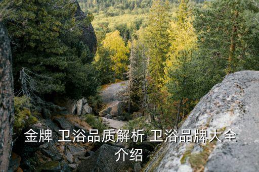  金牌 衛(wèi)浴品質(zhì)解析 衛(wèi)浴品牌大全介紹