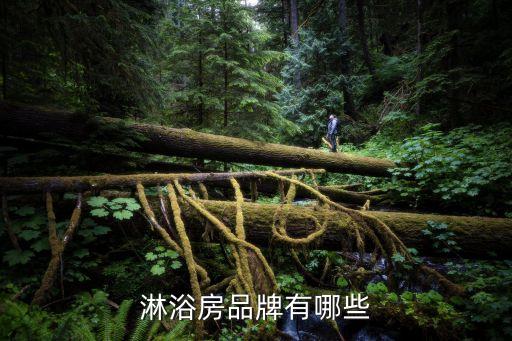 淋浴房品牌有哪些