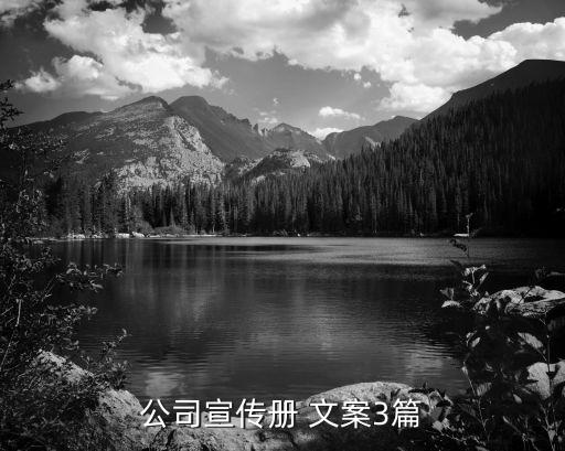 衛(wèi)浴門店招商文案范文圖片