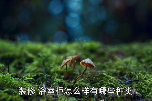 裝修 浴室柜怎么樣有哪些種類