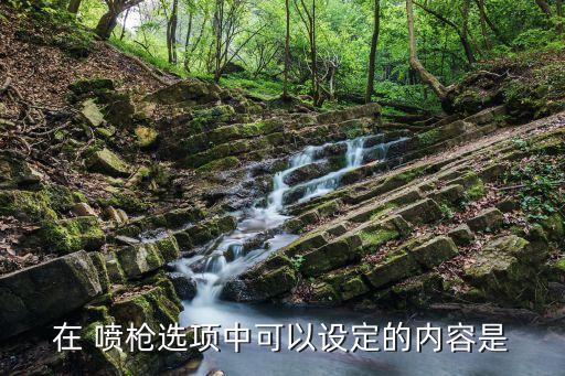 在 噴槍選項(xiàng)中可以設(shè)定的內(nèi)容是
