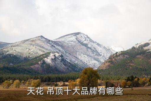 大同衛(wèi)浴吊頂品牌代理,衛(wèi)浴吊頂品牌排行榜前十名