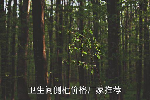 衛(wèi)生間側(cè)柜價(jià)格廠家推薦