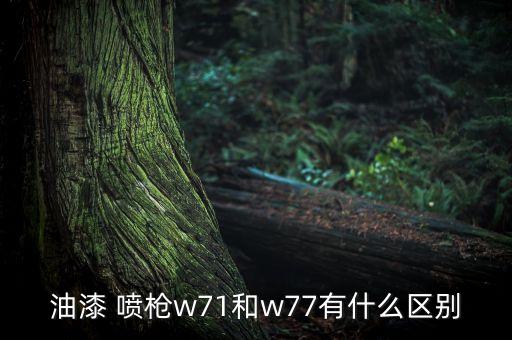 油漆 噴槍w71和w77有什么區(qū)別