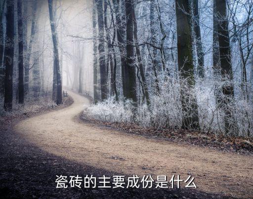 瓷磚的主要成份是什么