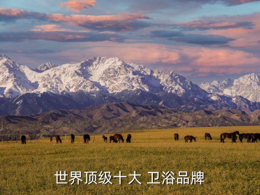 世界頂級十大 衛(wèi)浴品牌