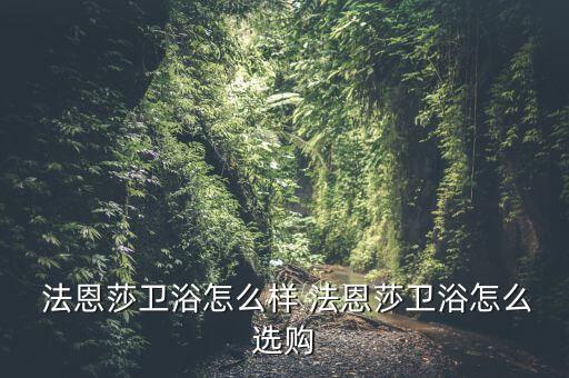  法恩莎衛(wèi)浴怎么樣 法恩莎衛(wèi)浴怎么選購