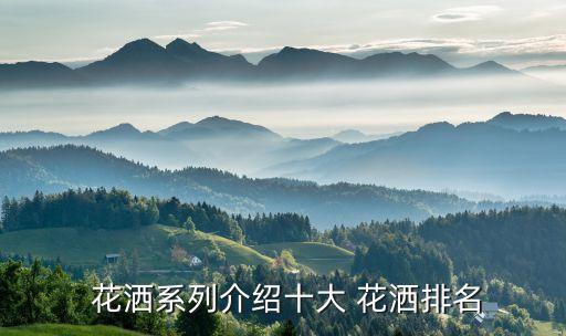  花灑系列介紹十大 花灑排名