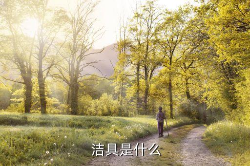 衛(wèi)浴和潔具的區(qū)別,東鵬潔具和東鵬衛(wèi)浴有什么區(qū)別