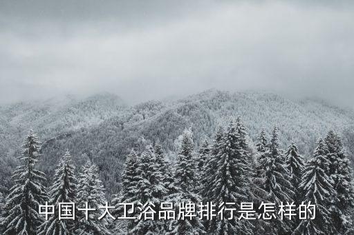 旗家衛(wèi)浴是幾線(xiàn)品牌啊