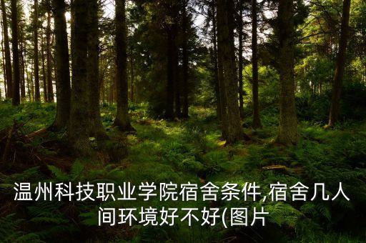 溫州科技職業(yè)學(xué)院宿舍條件,宿舍幾人間環(huán)境好不好(圖片