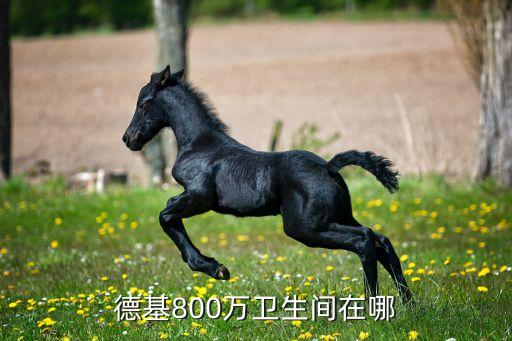 德基800萬衛(wèi)生間在哪