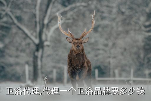 美的衛(wèi)浴代理,代理一個衛(wèi)浴品牌要多少錢