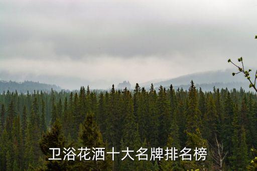 華藝衛(wèi)浴生產現(xiàn)場圖片