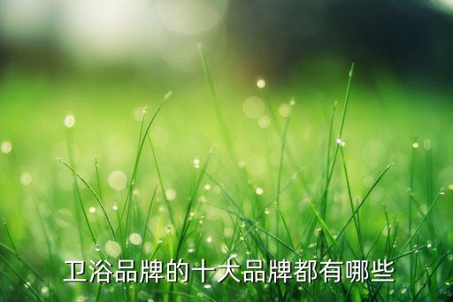  衛(wèi)浴品牌的十大品牌都有哪些