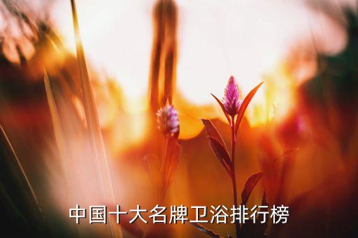 中國十大名牌衛(wèi)浴排行榜