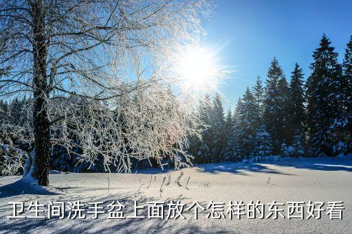 衛(wèi)浴盆清潔工具圖片大全