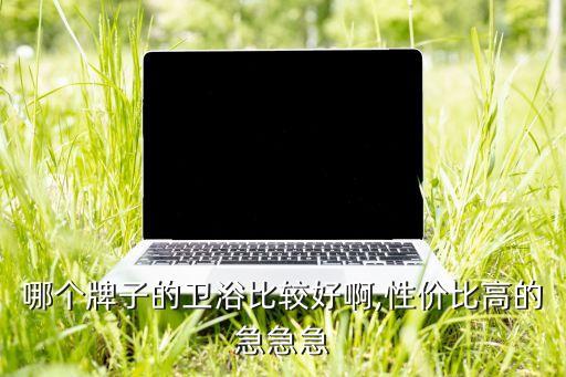 哪個牌子的衛(wèi)浴比較好啊,性價比高的急急急