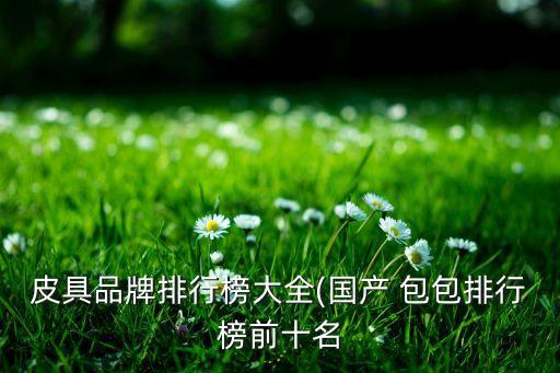 皮具品牌排行榜大全(國產(chǎn) 包包排行榜前十名