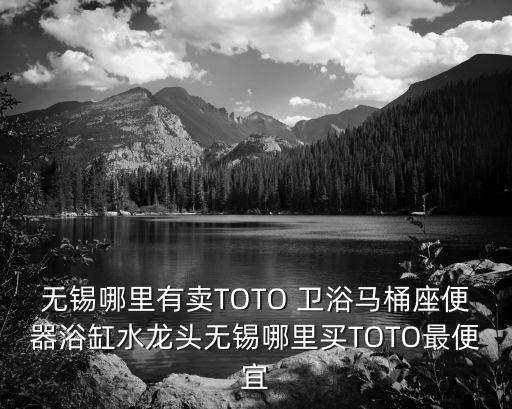 無錫哪里有賣TOTO 衛(wèi)浴馬桶座便器浴缸水龍頭無錫哪里買TOTO最便宜