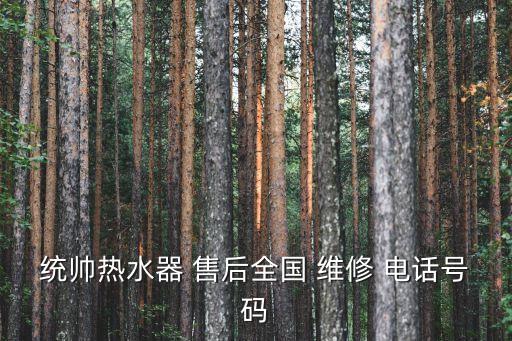 統(tǒng)帥熱水器 售后全國 維修 電話號(hào)碼