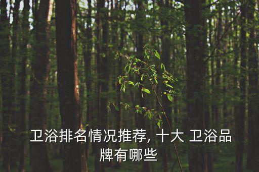 金牌衛(wèi)浴屬于十大品牌