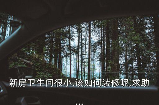 新房衛(wèi)生間很小,該如何裝修呢,求助...