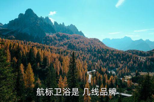航標衛(wèi)浴是 幾線品牌