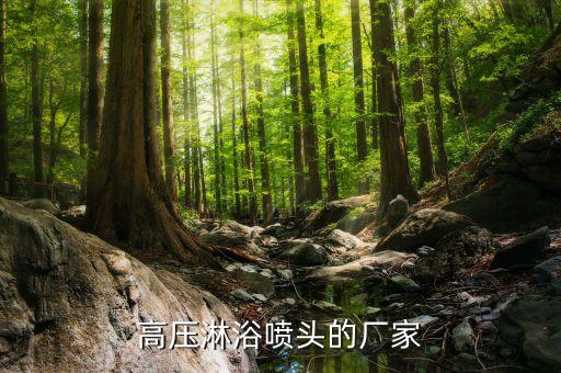 高壓淋浴噴頭的廠家