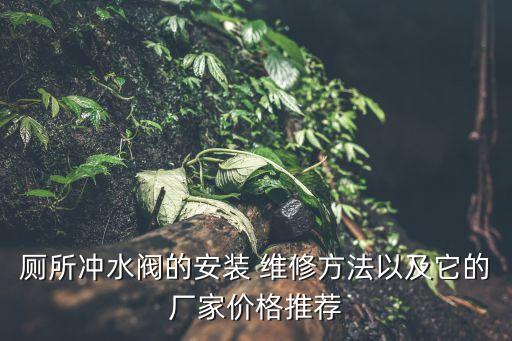 廁所沖水閥的安裝 維修方法以及它的廠家價格推薦