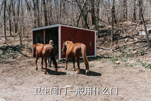 衛(wèi)生間門一般用什么門
