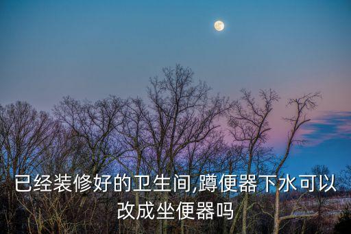 已經(jīng)裝修好的衛(wèi)生間,蹲便器下水可以改成坐便器嗎