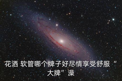 花灑 軟管哪個牌子好盡情享受舒服“大牌”澡