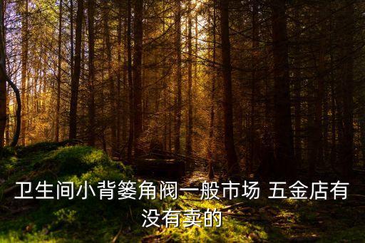 衛(wèi)生間小背簍角閥一般市場(chǎng) 五金店有沒(méi)有賣(mài)的