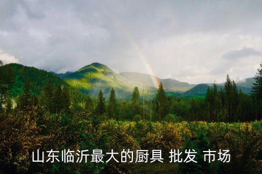 山東臨沂最大的廚具 批發(fā) 市場(chǎng)