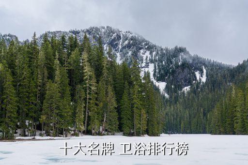 十大名牌 衛(wèi)浴排行榜