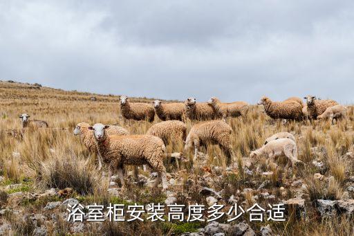 浴室柜安裝高度多少合適