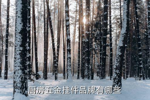 祁東縣華盛衛(wèi)浴品牌,華盛漢舍衛(wèi)浴是幾線品牌