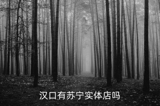 漢口有蘇寧實(shí)體店嗎
